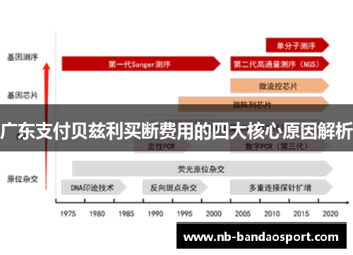 广东支付贝兹利买断费用的四大核心原因解析