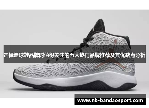 选择篮球鞋品牌时值得关注的五大热门品牌推荐及其优缺点分析