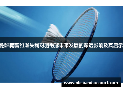 谢浩南曾维瀚失利对羽毛球未来发展的深远影响及其启示